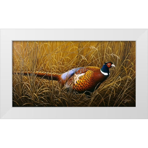 Sneaking Through The Long Grass - Ring Neck Pheasant White Modern Wood Framed Art Print by Goebel, Wilhelm