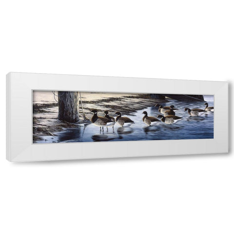 Brant Coming Ashore White Modern Wood Framed Art Print by Goebel, Wilhelm