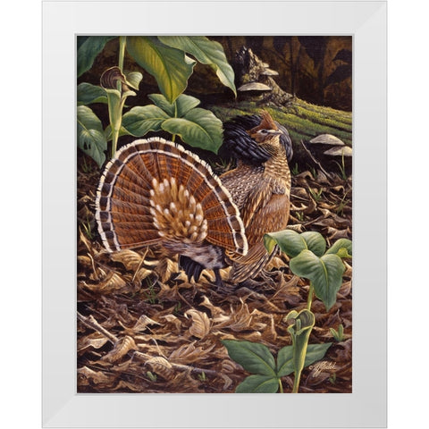 May Display - Ruffed Grouse White Modern Wood Framed Art Print by Goebel, Wilhelm