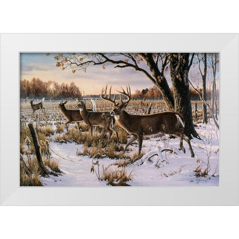 Cautious Crossing - Whitetails White Modern Wood Framed Art Print by Goebel, Wilhelm