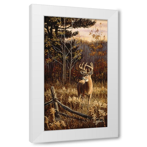 Autumn Whitetail White Modern Wood Framed Art Print by Goebel, Wilhelm