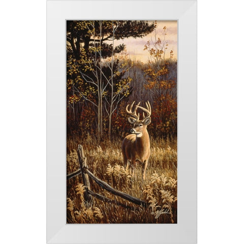Autumn Whitetail White Modern Wood Framed Art Print by Goebel, Wilhelm