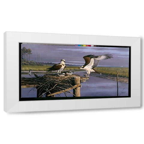 Chesapeake Treasurers - Osprey White Modern Wood Framed Art Print by Goebel, Wilhelm