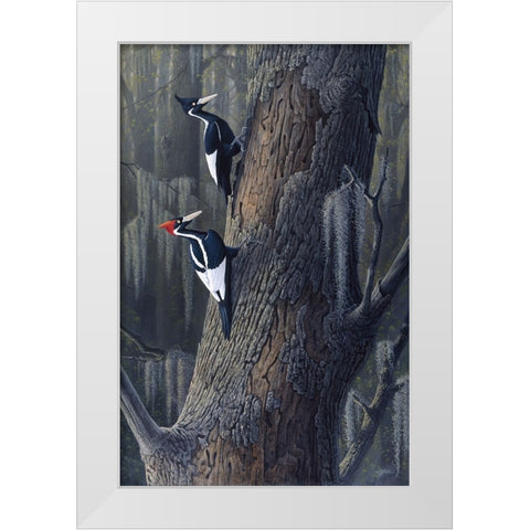 Legends Of The Pearl White Modern Wood Framed Art Print by Goebel, Wilhelm