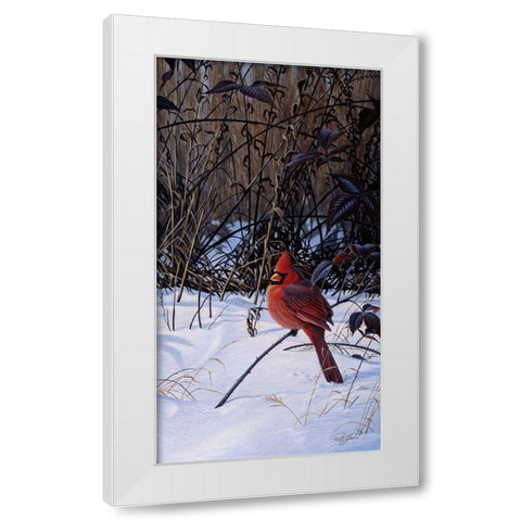 Roadside Cardinal White Modern Wood Framed Art Print by Goebel, Wilhelm