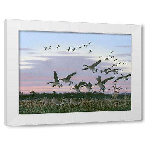 Wings Over Delmarva White Modern Wood Framed Art Print by Goebel, Wilhelm