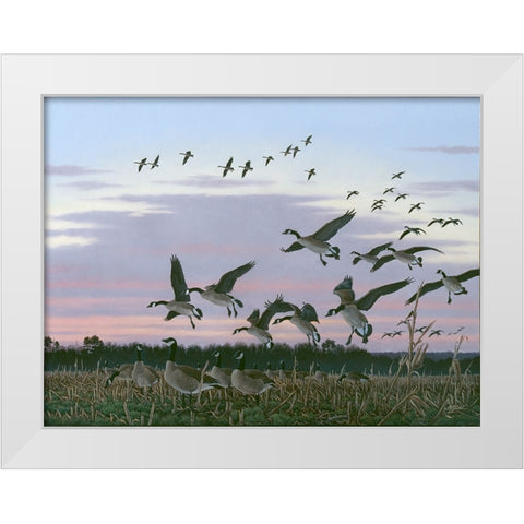 Wings Over Delmarva White Modern Wood Framed Art Print by Goebel, Wilhelm