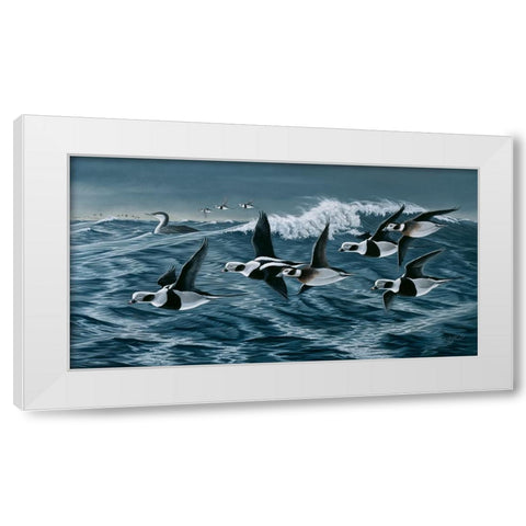 Rough Day On The Bay - Oldsquaw Ducks White Modern Wood Framed Art Print by Goebel, Wilhelm