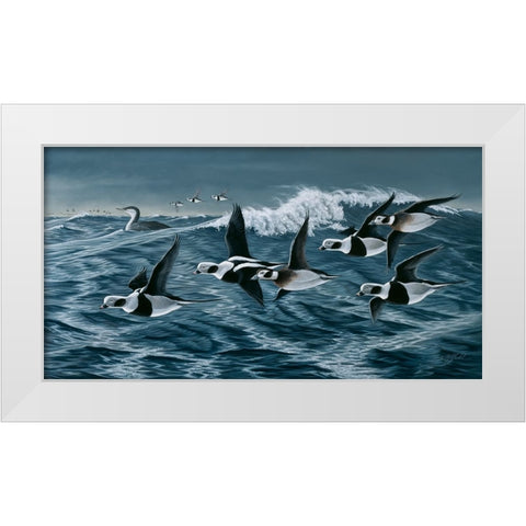Rough Day On The Bay - Oldsquaw Ducks White Modern Wood Framed Art Print by Goebel, Wilhelm