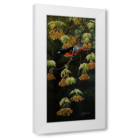 Forest Flame - Baltimore Oriole White Modern Wood Framed Art Print by Goebel, Wilhelm