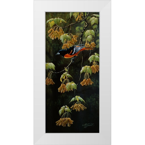 Forest Flame - Baltimore Oriole White Modern Wood Framed Art Print by Goebel, Wilhelm