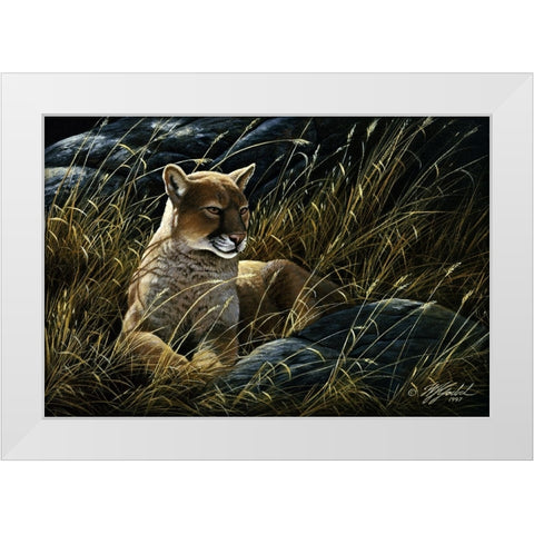 Cougar In The Grass White Modern Wood Framed Art Print by Goebel, Wilhelm