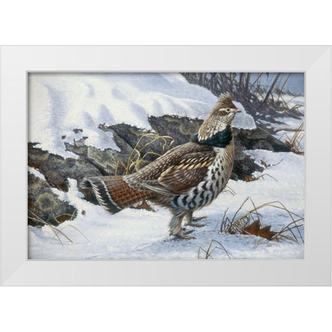Ruffed Grouse White Modern Wood Framed Art Print by Goebel, Wilhelm