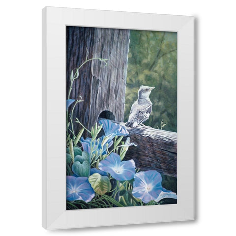 The Fledgling - Young Mockingbird White Modern Wood Framed Art Print by Goebel, Wilhelm