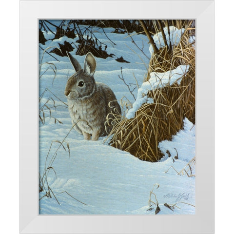 Snow Cover Cottontail White Modern Wood Framed Art Print by Goebel, Wilhelm