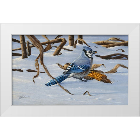 Bluejay White Modern Wood Framed Art Print by Goebel, Wilhelm