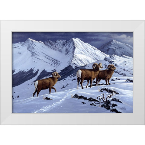 High Country Rams White Modern Wood Framed Art Print by Goebel, Wilhelm