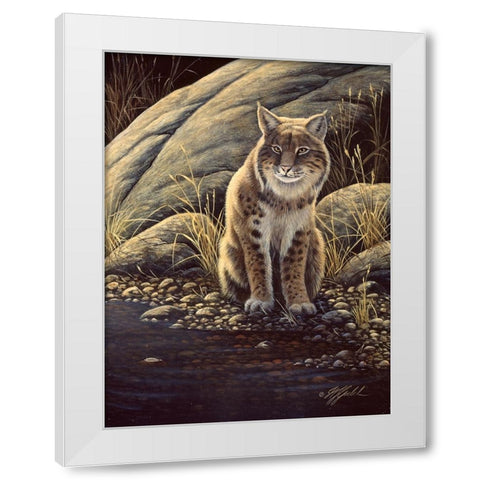 Backlight-Bobcat White Modern Wood Framed Art Print by Goebel, Wilhelm