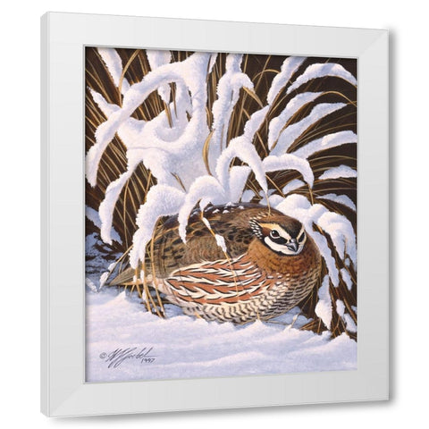 Hiding Quail White Modern Wood Framed Art Print by Goebel, Wilhelm