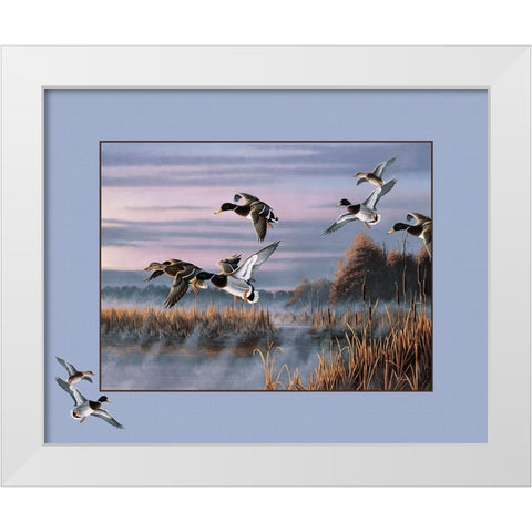 Ducks In Flight 1 White Modern Wood Framed Art Print by Goebel, Wilhelm