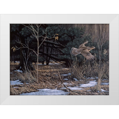 Grouse On The Wing White Modern Wood Framed Art Print by Goebel, Wilhelm