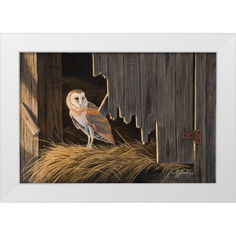 Ready For The Hunt Barn Owl White Modern Wood Framed Art Print by Goebel, Wilhelm