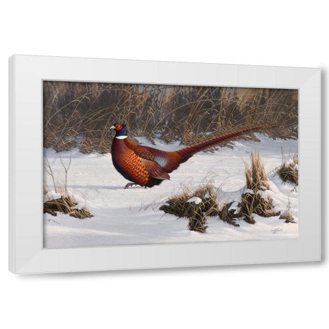 Winter Walk Pheasant White Modern Wood Framed Art Print by Goebel, Wilhelm