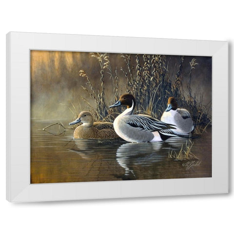 Pintail Trios White Modern Wood Framed Art Print by Goebel, Wilhelm