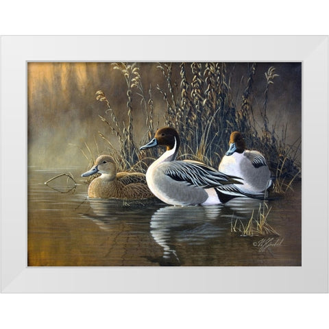 Pintail Trios White Modern Wood Framed Art Print by Goebel, Wilhelm