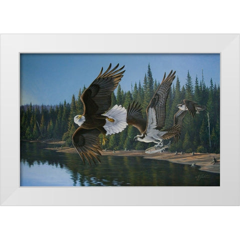Eagle Osprey White Modern Wood Framed Art Print by Goebel, Wilhelm