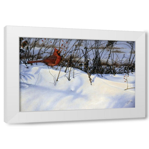 Winter Cardinal White Modern Wood Framed Art Print by Goebel, Wilhelm
