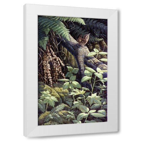 On A Limb White Modern Wood Framed Art Print by Goebel, Wilhelm