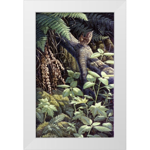 On A Limb White Modern Wood Framed Art Print by Goebel, Wilhelm