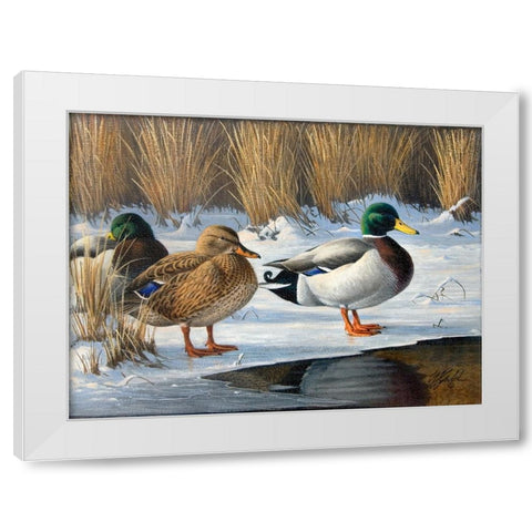 Wg220820002 White Modern Wood Framed Art Print by Goebel, Wilhelm