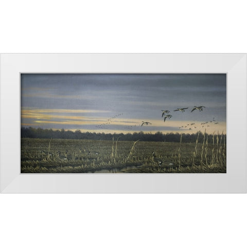 Canada Geese White Modern Wood Framed Art Print by Goebel, Wilhelm