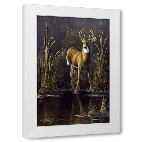 Whitetail Buck White Modern Wood Framed Art Print by Goebel, Wilhelm