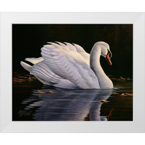 Reflection - Mute Swan White Modern Wood Framed Art Print by Goebel, Wilhelm