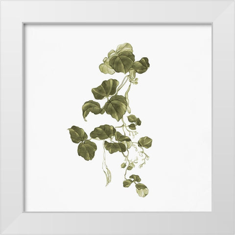Leaves In Autumn Green 1 White Modern Wood Framed Art Print by Adebowale