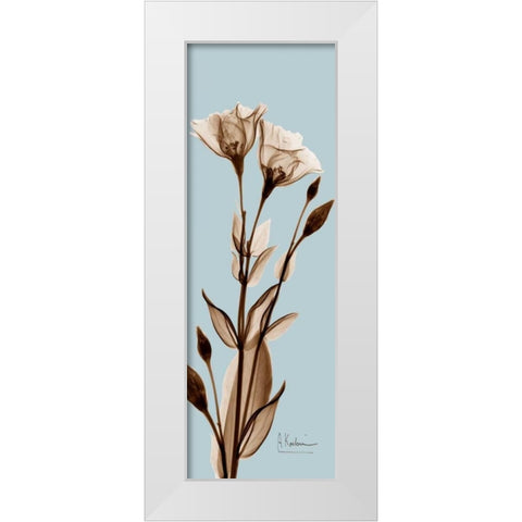 Tulip Pair  Brown on Blue White Modern Wood Framed Art Print by Koetsier, Albert