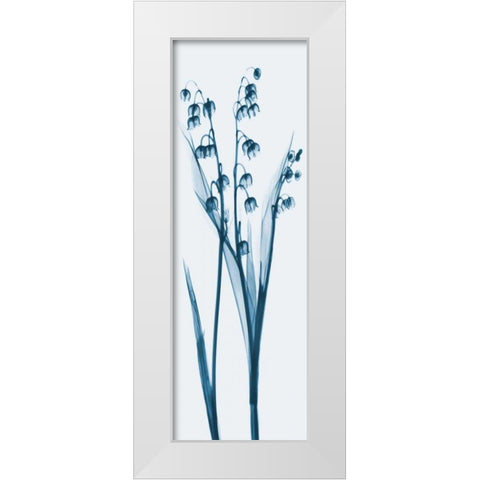 Lily of the Valley in Blue White Modern Wood Framed Art Print by Koetsier, Albert