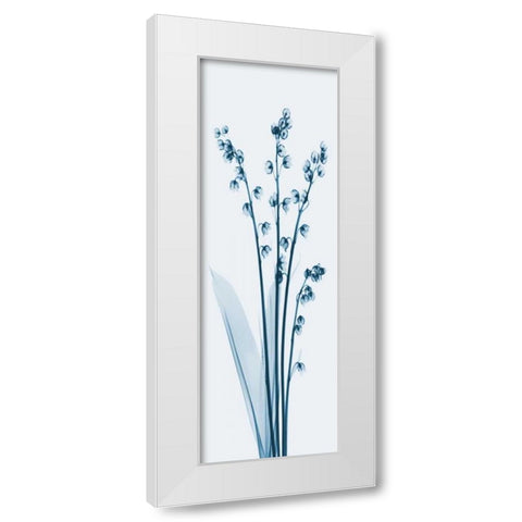 Lily of the Valley in Blue 2 White Modern Wood Framed Art Print by Koetsier, Albert