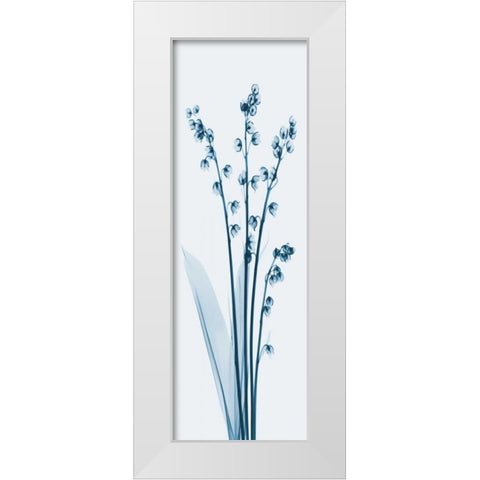 Lily of the Valley in Blue 2 White Modern Wood Framed Art Print by Koetsier, Albert