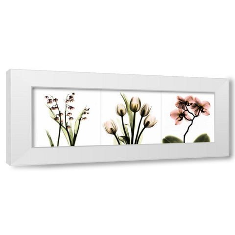 Pink Floral Tryp Tych II White Modern Wood Framed Art Print by Koetsier, Albert