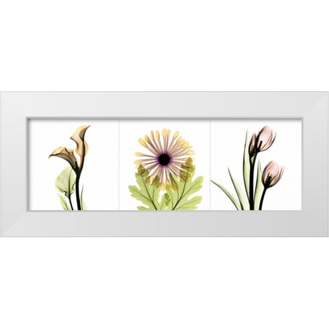 Pink Floral Tryp Tych III White Modern Wood Framed Art Print by Koetsier, Albert