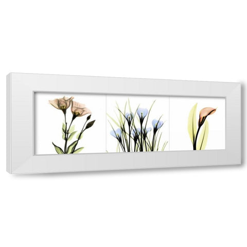 Multi-color Floral Tryp Tych I White Modern Wood Framed Art Print by Koetsier, Albert