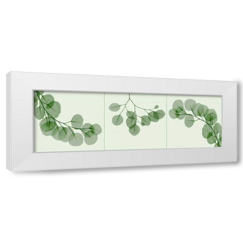 Leaf Triple in Green White Modern Wood Framed Art Print by Koetsier, Albert