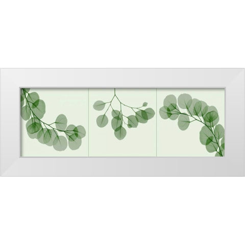 Leaf Triple in Green White Modern Wood Framed Art Print by Koetsier, Albert