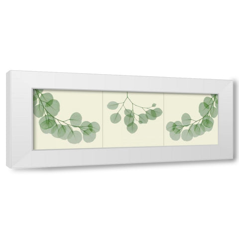 Leaf Triple in Green 2 White Modern Wood Framed Art Print by Koetsier, Albert