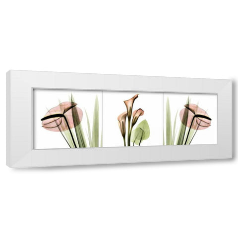 Triple in Pink White Modern Wood Framed Art Print by Koetsier, Albert