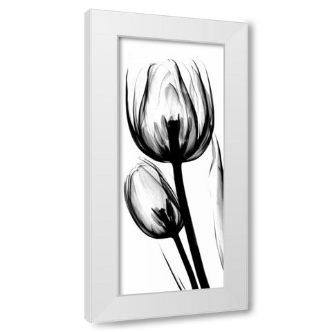 Tulip in BandW White Modern Wood Framed Art Print by Koetsier, Albert